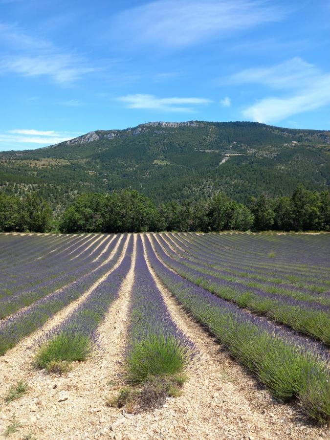 La Plume Du Ventoux Suite 305 Mollans-sur-Ouvèze المظهر الخارجي الصورة